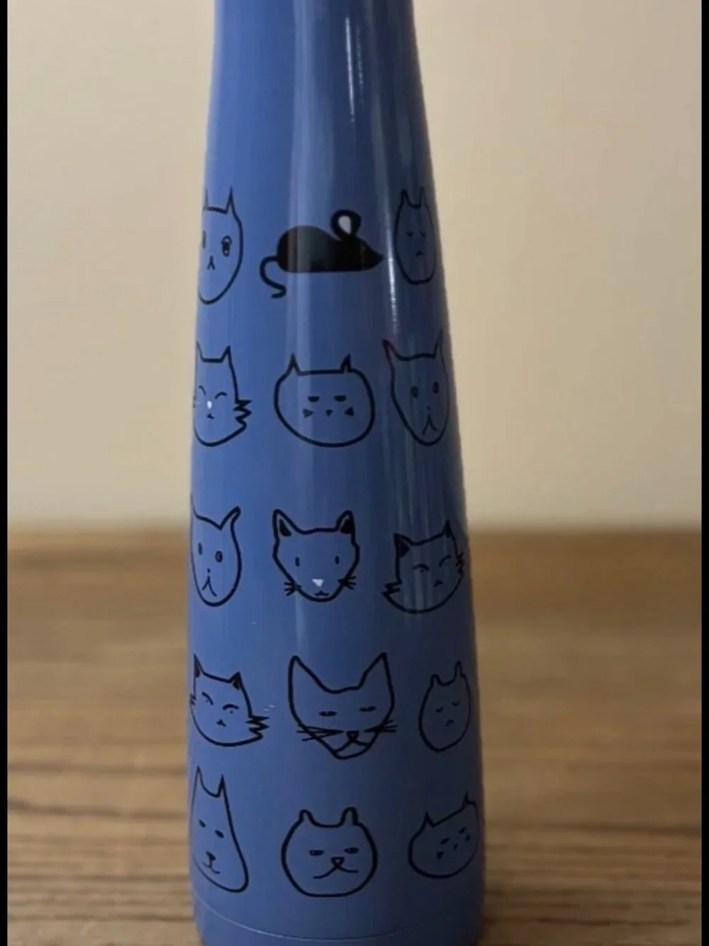 S'ip by S'well 15oz Hot/Cold Water Bottle; Cup-Holder Friendly; Leak-Free